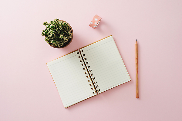 포토 JPG 해외이미지 화분 선인장 실내 그림자 사람없음 하이앵글 연필 다이어리 플래너 마스킹테이프 카피스페이스 분홍색배경 해외포토 식물 뷰포인트 분홍색 백그라운드 학용품 내부 필기구 사무용품 공백 테이프 파일형식 이미지허브