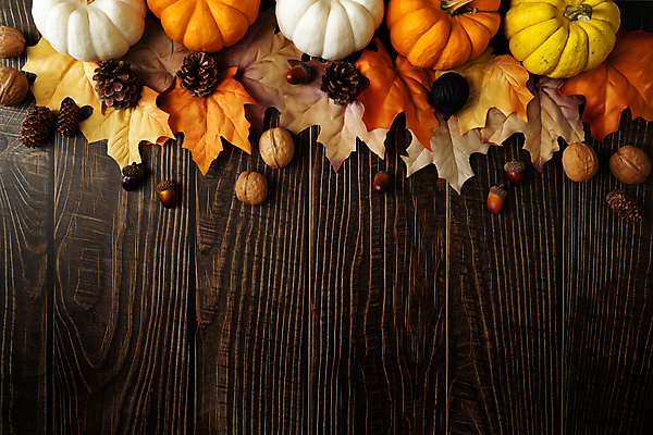 포토 JPG 해외이미지 단풍 호박 사람없음 장식 호두 도토리 솔방울 카피스페이스 나무배경 해외포토 백그라운드 잎 채소 공백 견과류 파일형식 이미지허브