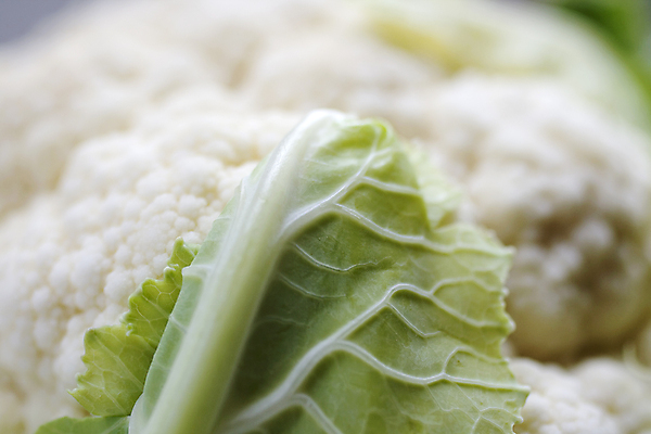 포토 JPG 해외이미지 음식 채소 재료 건강 사람없음 머리 식사 양배추 채식 비타민 영양분 케일 해외포토 신체부위 영양소 파일형식 이미지허브