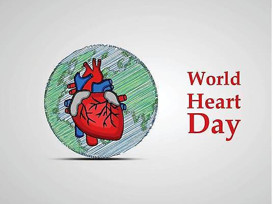 EPS 해외이미지 템플릿 디자인 배너 행복 포스터 과학 백그라운드 컨셉 일러스트 텍스트 추상 스트레스 건강 병원 그래픽 빨간색 세계 약 장비 시험 의사 하트 도움 맥박 질병 9월 심볼 예방 우표 돌봄 심장병 압력 전국 해외일러스트 모양 교육 감정 컬러 무늬 의학 모션 의료진 날짜 파일형식 벡터 이미지허브