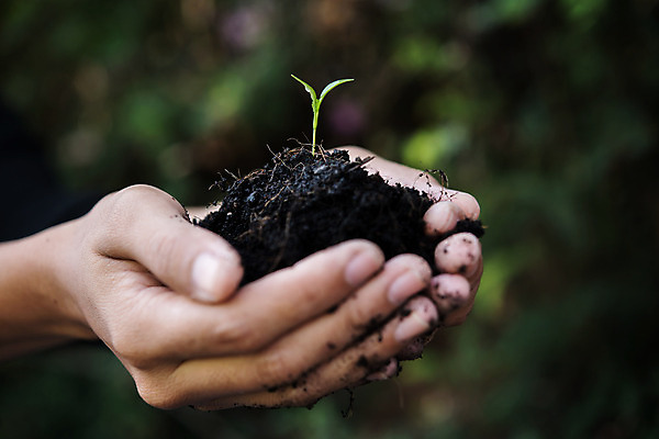 포토 JPG 해외이미지 손 잎 아웃포커스 신체부위 초록색 새싹 흙 해외포토 식물 컬러 촬영기법 사람 파일형식 이미지허브