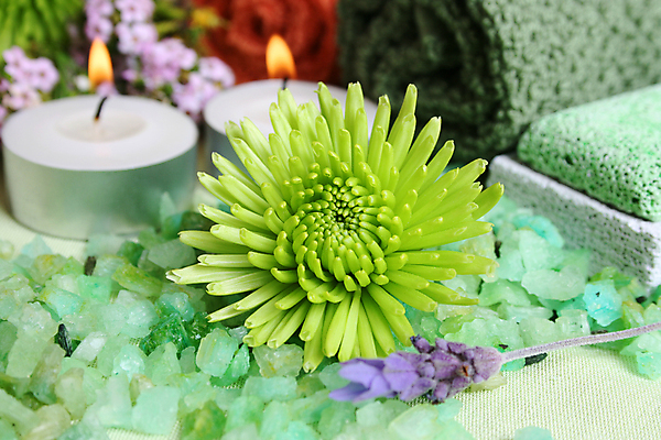 포토 JPG 해외이미지 식물 라이프스타일 꽃 오렌지 장신구 자연 건강 사람없음 초록색 수건 뷰티 평화 보라색 스파 욕실 바위 씻기 오브젝트 라벤더 설정 왁스 해외포토 컬러 컨셉 과일 생활 위생용품 청결 돌_바위 허브 생태계 파일형식 이미지허브