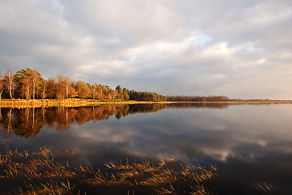 포토 JPG 해외이미지 나무 구름 호수 자연 하늘 표면 풍경 사람없음 야외 물 햇빛 반사 맑음 침묵 고요 일몰 시골 연못 숲 네덜란드 수평선 해외포토 자연요소 식물 유럽 날씨 태양 노을 소리 생태계 파일형식 이미지허브