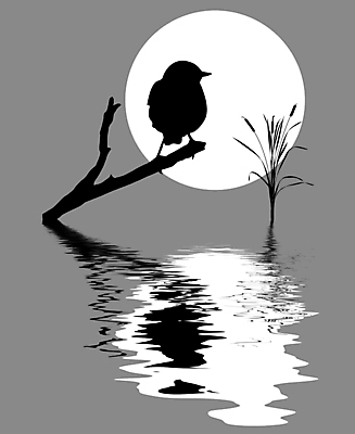 JPG 해외이미지 한마리 실루엣 일러스트 조류 사람없음 태양 반사 회색 나뭇가지 부들 해외일러스트 자연요소 나무 동물 1 컬러 촬영기법 파일형식 이미지허브