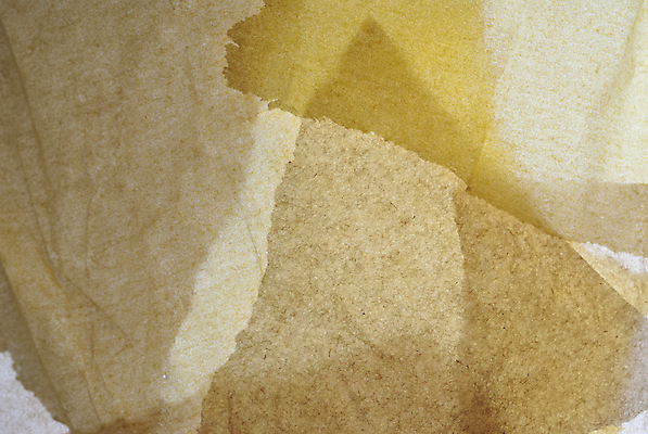 포토 JPG 해외이미지 종이 백그라운드 패턴 오렌지 추상 사람없음 흰색 조직 가장자리 찢어짐 해외포토 컬러 무늬 과일 모션 둘레 파일형식 이미지허브