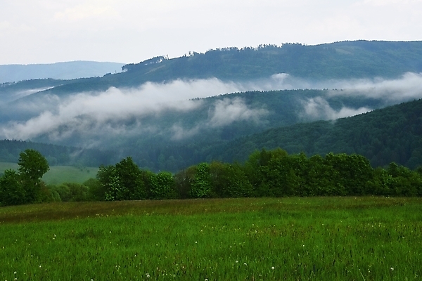 포토 JPG 해외이미지 나무 계절 공원 여행 백그라운드 밭 자연 하늘 산 파노라마 사람없음 야외 초록색 파란색 빛 햇빛 뷰티 환경 계곡 맑음 일몰 봄 시골 숲 장면 체코 내추럴 공화국 전국 해외포토 식물 공공시설 유럽 나라 컬러 농업 날씨 촬영기법 태양 노을 생태계 파일형식 이미지허브