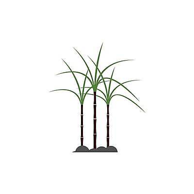 EPS 해외이미지 나무 식물 배너 음식 스티커 잎 일러스트 재료 자연 지팡이 추상 손바닥 초록색 세트 라벨 주스 수확 신선 달콤 상품 심볼 사인 내추럴 바이오 사탕수수 해외일러스트 손 음료 컬러 무늬 농업 프레임 맛 생태계 파일형식 벡터 이미지허브