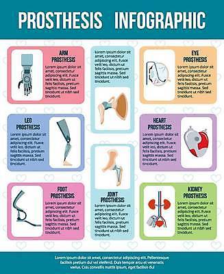 EPS 해외이미지 디자인 교육 포스터 신체 일러스트 부분 기술 건강 사람 인포그래픽 하트 발표 조직 오르간 신장 플랫 치아 엉덩이 묘사 오브젝트 비전 팔 공학 장애 혁명 보철 인공 정형외과 팔꿈치 해외일러스트 모양 컨셉 병원 신체부위 소화기관 건반악기 비뇨기관 파일형식 벡터 이미지허브