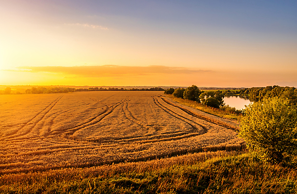 포토 JPG 해외이미지 나무 구름 자연 하늘 풍경 사람없음 야외 햇빛 농경지 일몰 해외포토 자연요소 식물 태양 농장 노을 생태계 파일형식 이미지허브