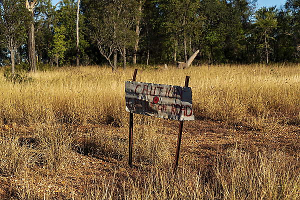 포토 JPG 해외이미지 나무 도로 여행 자동차 경고 사람없음 수확 시골 소 호주 위험 편지 사인 부식 폐허 공지사항 통조림 건너기 길가 옛날 오지 해외포토 식물 길 육상교통 컨셉 농업 포유류 교통시설 모션 오세아니아 파일형식 이미지허브