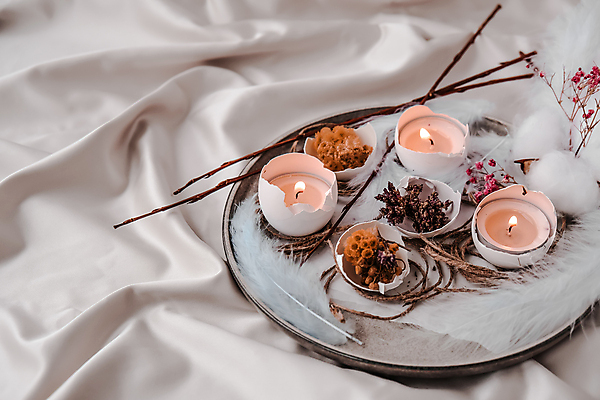 포토 JPG 해외이미지 쟁반 실내 사람없음 나뭇가지 계란껍데기 깃털 오브젝트 드라이플라워 해외포토 나무 꽃 내부 계란 파일형식 이미지허브