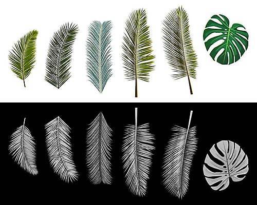 EPS 해외이미지 일러스트 사람없음 세트 야자수잎 몬스테라 엘리먼트 열대잎 트로피컬아트 해외일러스트 식물 잎 그림 파일형식 벡터 이미지허브