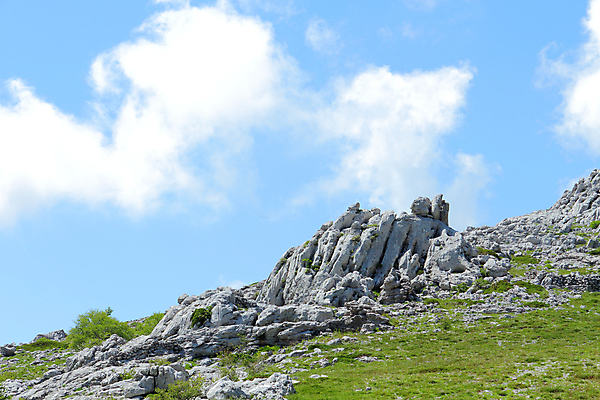 포토 JPG 해외이미지 나무 공원 유럽 도로 길 여행 자연 산 국립공원 사람없음 야외 여행객 하이킹 오솔길 관목 암초 천국 크로아티아 전국 절정 해외포토 식물 공공시설 나라 교통시설 레저 사람 생태계 파일형식 이미지허브