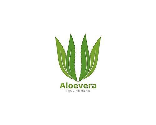 EPS 해외이미지 식물 디자인 꽃 실루엣 선 백그라운드 잎 일러스트 자연 선인장 건강 미술 경사 치료 초록색 세트 검은색 흰색 수집 허브 심볼 사인 유기농 윤곽 내추럴 고립 돌봄 알로에 얇은 타격 해외일러스트 웰빙 컬러 의학 모션 문화예술 촬영기법 생태계 파일형식 벡터 이미지허브