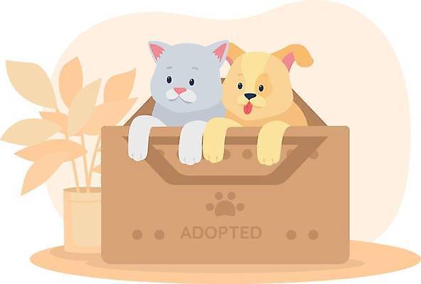 EPS 해외이미지 일러스트 사람없음 상자 주황색 구출 강아지 기르기 돌봄 유기견 입양 헬프 유기묘 해외일러스트 컬러 모션 반려동물 고양이 도움 개 파일형식 벡터 유기동물 이미지허브