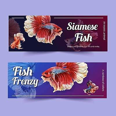 EPS 해외이미지 배너 여러마리 일러스트 사람없음 파란색 보라색 자주색 열대어 베타 해외일러스트 컬러 다수 어류 파일형식 벡터 이미지허브