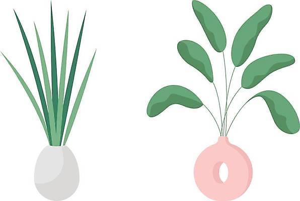EPS 해외이미지 화분 줄기 잎 일러스트 사람없음 원예 반려식물 해외일러스트 식물 취미 파일형식 벡터 이미지허브