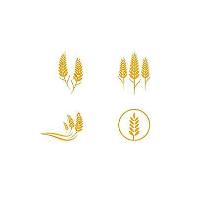 EPS 해외이미지 식물 디자인 배너 음식 빵 백그라운드 농업 다이어트 일러스트 밥 건조 건강 옥수수 씨앗 농작물 농장 노란색 라벨 수확 성장 흰색 신선 시장 황금 상품 낟알 밀 먹기 심볼 사인 유기농 귀 밀가루 스파이크 내추럴 고립 밭일 엘리먼트 귀리 해외일러스트 웰빙 산업 컬러 모션 곡류 프레임 신체부위 가루 파일형식 벡터 사람 이미지허브