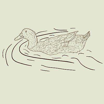 EPS 해외이미지 동물 디자인 호수 야생동물 백그라운드 날개 일러스트 조류 오리 물 강 검은색 수영 수확 연못 깃털 그림 복고 사냥 부리 판화 물새 청둥오리 동물상 옛날 스타일 해외일러스트 자연요소 컬러 농업 미술 조형물 수상스포츠 파일형식 벡터 이미지허브