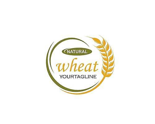 EPS 해외이미지 식물 디자인 배너 음식 빵 백그라운드 농업 다이어트 일러스트 자연 밥 건조 건강 옥수수 씨앗 농작물 농장 노란색 라벨 수확 성장 흰색 신선 시장 황금 상품 낟알 밀 먹기 심볼 사인 유기농 귀 밀가루 C 스파이크 내추럴 고립 떠남 밭일 엘리먼트 귀리 해외일러스트 웰빙 알파벳 산업 컬러 모션 곡류 프레임 신체부위 가루 생태계 파일형식 벡터 이미지허브