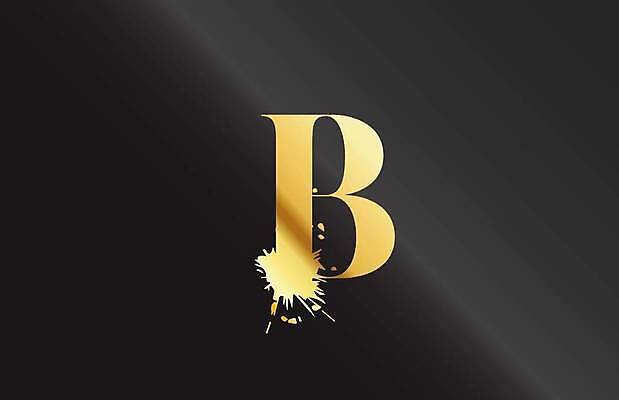 EPS 해외이미지 모양 템플릿 디자인 알파벳 백그라운드 컨셉 일러스트 회사 비즈니스 경사 검은색 수확 우아함 떨어짐 편지 B 심볼 사인 신분 그런지 엘리먼트 활자 스타일 브랜딩 해외일러스트 영어 컬러 농업 활자판 파일형식 벡터 이미지허브