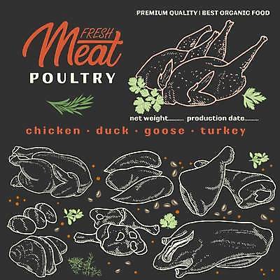 EPS 해외이미지 일러스트 육류 사람없음 닭고기 스케치 오리고기 정육점 해외일러스트 식재료 오리 미술 상점 파일형식 벡터 이미지허브