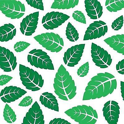 EPS 해외이미지 식물 디자인 실루엣 백그라운드 잎 2 일러스트 초록색 검은색 흰색 신선 플랫 시원함 민트 허브 심볼 에코 유기농 윤곽 향 내추럴 고립 엘리먼트 스피아민트 해외일러스트 웰빙 컬러 촬영기법 환경 파일형식 벡터 이미지허브