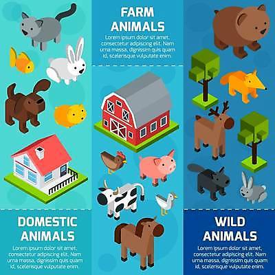 EPS 해외이미지 야생동물 여러마리 일러스트 곰 조류 사슴 주택 어류 사람없음 반려동물 고양이 가축 토끼 닭 말_동물 돼지 강아지 여우 햄스터 늑대 아이소메트릭 얼룩소 해외일러스트 동물 다수 포유류 건물 수중동물 개 설치류 파일형식 벡터 이미지허브