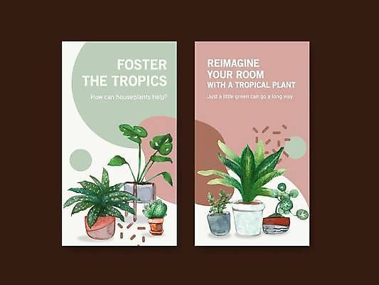 EPS 해외이미지 템플릿 화분 일러스트 선인장 사람없음 세트 다육식물 몬스테라 선인장화분 해외일러스트 식물 파일형식 벡터 이미지허브