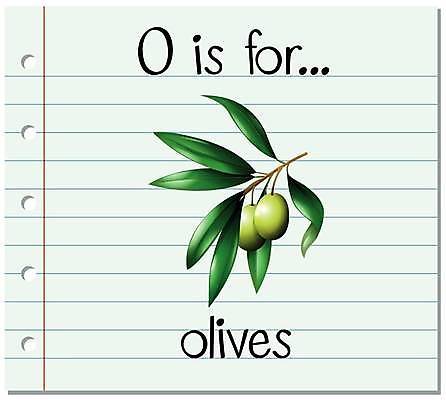 EPS 해외이미지 알파벳 영어 잎 일러스트 영어교육 사람없음 단어 올리브 O 단어카드 해외일러스트 식물 문자 교육 열매 파일형식 벡터 단어장 이미지허브