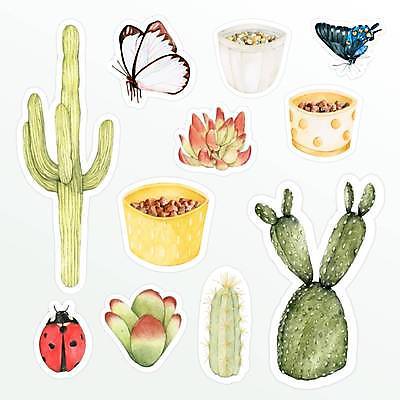 EPS 해외이미지 화분 나비 스티커 일러스트 선인장 사람없음 세트 무당벌레 다육식물 해외일러스트 식물 곤충 파일형식 벡터 이미지허브