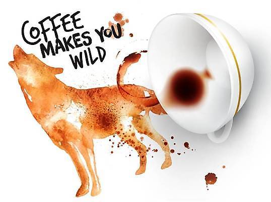 EPS 해외이미지 커피 일러스트 사람없음 커피잔 손그림 쏟아짐 늑대 해외일러스트 음료 포유류 모션 잔 파일형식 벡터 이미지허브