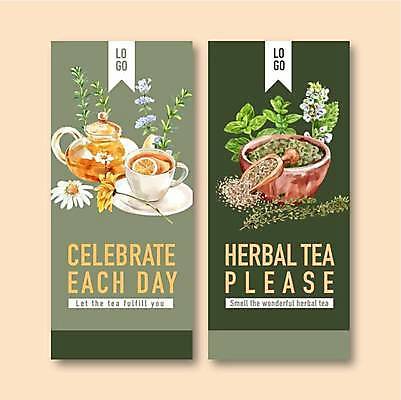 EPS 해외이미지 템플릿 꽃 일러스트 사람없음 초록색 세트 찻잔 찻주전자 바질 로즈메리 찻잎 백리향 스쿱 캐모마일 허브차 해외일러스트 식물 컬러 주전자 잔 차_음료 허브 파일형식 벡터 이미지허브