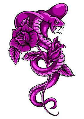 EPS 해외이미지 동물 캐릭터 디자인 얼굴 야생동물 스포츠 백그라운드 일러스트 파충류 자연 미술 동양인 그래픽 초록색 머리 검은색 흰색 독약 뱀 위험 공격 왕 만화 문신 심볼 사인 그림 고립 마스코트 스트라이크 해외일러스트 일러캐릭터 컬러 컨셉 모션 문화예술 인종 신체부위 생태계 파일형식 벡터 이미지허브