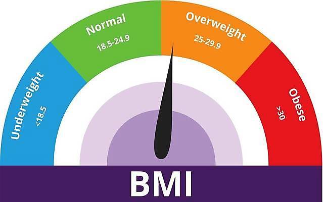 EPS 해외이미지 라이프스타일 디자인 컨셉 신체 다이어트 일러스트 그래프 건강 컬러풀 숫자 모니터 자료 웹 인포그래픽 몸무게 비만 심볼 측정 체육관 레이아웃 눈금 인덱스 덩어리 계량기 고립 해로움 셀룰라이트 해외일러스트 문자 컬러 인터넷 생활 컴퓨터 몸매 파일형식 벡터 이미지허브