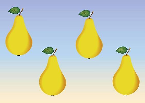 EPS 해외이미지 식물 디자인 음식 조각 백그라운드 컨셉 잎 2 다이어트 과일 일러스트 재료 자연 디저트 건강 미술 씨앗 그래픽 초록색 여름 세트 노란색 정원 흰색 신선 달콤 맛 자르기 먹기 오브젝트 싱글 유기농 날것 비타민 내추럴 고립 숙성 채식주의자 현실 비건 맛있는 해외일러스트 웰빙 계절 컬러 모션 문화예술 생태계 채식 영양소 파일형식 벡터 이미지허브