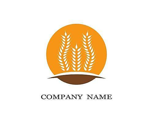 EPS 해외이미지 식물 디자인 배너 음식 빵 백그라운드 농업 다이어트 일러스트 자연 밥 건조 건강 옥수수 씨앗 농작물 농장 노란색 라벨 수확 성장 신선 시장 황금 상품 낟알 시리얼 밀 먹기 심볼 사인 유기농 보리 밀가루 스파이크 내추럴 고립 밭일 엘리먼트 귀리 해외일러스트 웰빙 산업 컬러 모션 곡류 프레임 가루 생태계 파일형식 벡터 이미지허브