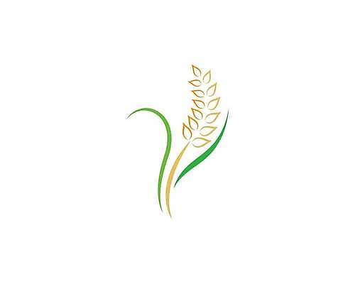 EPS 해외이미지 식물 디자인 배너 음식 빵 백그라운드 농업 다이어트 일러스트 자연 밥 건조 건강 옥수수 씨앗 농작물 농장 노란색 라벨 수확 성장 신선 시장 황금 상품 낟알 시리얼 밀 먹기 심볼 사인 유기농 보리 밀가루 스파이크 내추럴 고립 밭일 엘리먼트 귀리 해외일러스트 웰빙 산업 컬러 모션 곡류 프레임 가루 생태계 파일형식 벡터 이미지허브