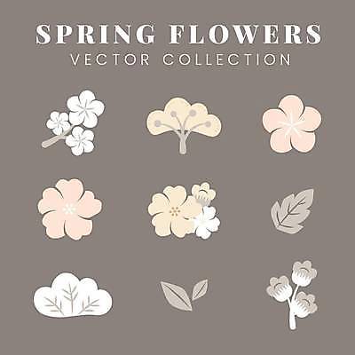 EPS 해외이미지 식물 꽃 일러스트 봄꽃 사람없음 세트 갈색 심볼 해외일러스트 컬러 봄 파일형식 벡터 이미지허브