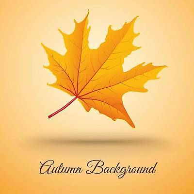 EPS 해외이미지 백그라운드 단풍 일러스트 사람없음 주황색 해외일러스트 컬러 잎 파일형식 벡터 이미지허브