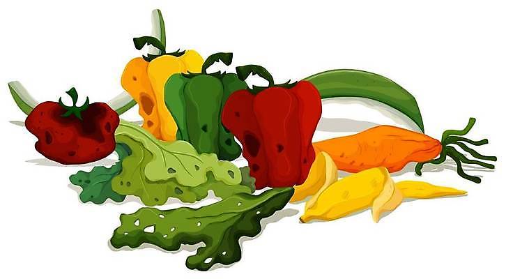 EPS 해외이미지 클립아트 식물 길 음식 백그라운드 채소 과일 일러스트 재료 미술 그래픽 환경 흰색 쓰레기 폐기물 자르기 버리기 오브젝트 그림 클립 낭비 나쁜 고립 해로움 해외일러스트 컬러 컨셉 모션 문화예술 파일형식 벡터 이미지허브