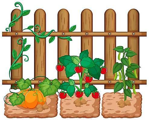 EPS 해외이미지 클립아트 식물 디자인 음식 백그라운드 농업 토마토 일러스트 자연 호박 미술 풍경 야외 그래픽 초록색 농작물 울타리 농장 환경 정원 시골 만화 먹기 그림 원예 클립 장면 내추럴 밭일 식용 심기 해외일러스트 산업 컬러 채소 모션 문화예술 취미 담장 생태계 파일형식 벡터 이미지허브