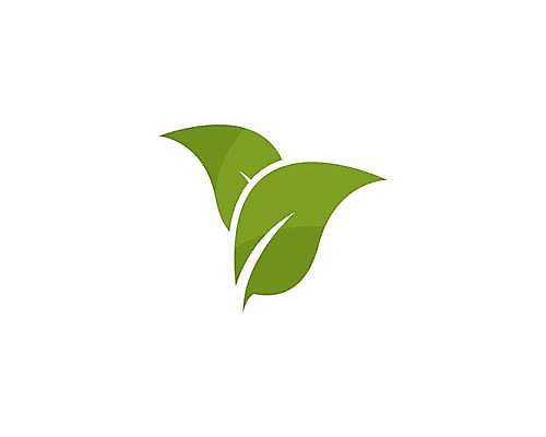 EPS 해외이미지 모양 식물 템플릿 디자인 실루엣 컨셉 잎 꽃무늬 일러스트 회사 비즈니스 자연 추상 건강 미술 그래픽 장식 초록색 세트 새싹 환경 봄 신선 플랫 보호 수집 심볼 사인 에코 유기농 내추럴 고립 생태학 엘리먼트 해외일러스트 웰빙 계절 교육 꽃 컬러 무늬 문화예술 촬영기법 생태계 파일형식 벡터 이미지허브