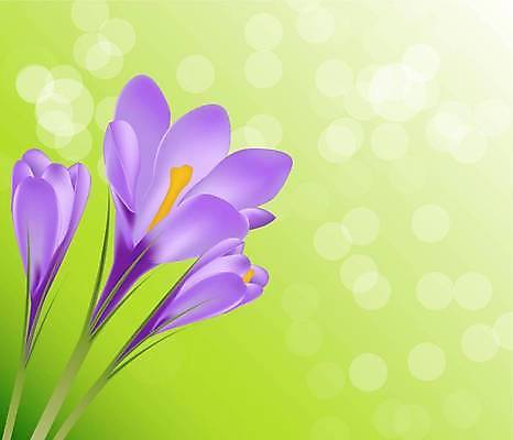 EPS 해외이미지 식물 계절 꽃잎 꽃 줄기 꽃다발 백그라운드 잎 일러스트 자연 초록색 파란색 농작물 머리 보라색 봄 들꽃 벚꽃 흰색 꽃술 시골 투명 우아함 8 작음 자주색 자르기 오브젝트 싱글 장면 붓꽃 고립 해외일러스트 컬러 컨셉 농업 모션 신체부위 숫자 크기 생태계 파일형식 벡터 이미지허브