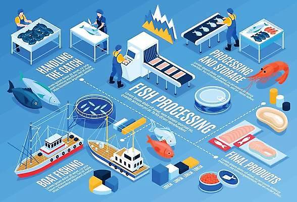 EPS 해외이미지 남자 백그라운드 일러스트 공장 낚시 그래프 작업복 어류 어업 여러명 성인 그래픽 3D 인포그래픽 어선 상품 어부 해산물 직원 통조림 어장 양식장 아이소메트릭 작업대 컨베어밸트 성인남자만 해외일러스트 직업 옷 산업 다수 배_교통 공업 레저 사람 수중동물 기계 디지털합성 시설 남자만 성인만 파일형식 벡터 이미지허브