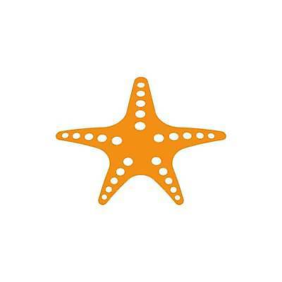 EPS 해외이미지 모양 디자인 실루엣 별 바다 오렌지 일러스트 자연 휴가 불가사리 어류 장식 빨간색 여름 수중 흰색 산호 심볼 오브젝트 사인 수족관 고립 해외일러스트 자연요소 계절 컬러 과일 극피동물 촬영기법 수중동물 자포동물 생태계 파일형식 벡터 이미지허브