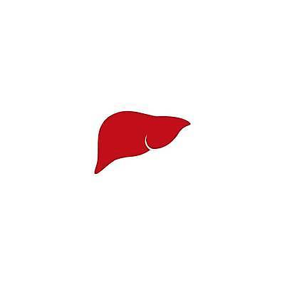 EPS 해외이미지 디자인 과학 백그라운드 컨셉 신체 일러스트 해부 건강 병원 미술 사람 내부 그래픽 빨간색 약 진료 의사 흰색 하트 긴급 센터 오르간 플랫 심볼 사인 생물학 간 심플 시스템 외과 고립 돌봄 엘리먼트 해외일러스트 모양 교육 컬러 의학 모션 문화예술 의료진 건반악기 장기 파일형식 벡터 직업 악기 건반 음악 이미지허브