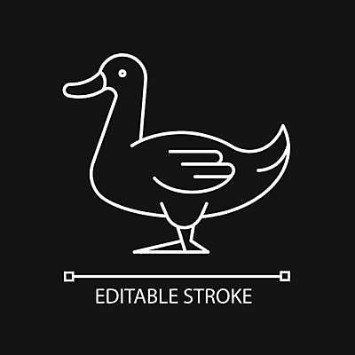 EPS 해외이미지 디자인 여자 남자 산업 선 컨셉 일러스트 조류 오리 육류 미술 픽토그램 농장 농사 검은색 웹 어둠 가축 성장 플랫 선택 야간 심볼 사인 그림 상업 심플 윤곽 물새 고립 기르기 밭일 얇은 테마 방식 해외일러스트 자연요소 동물 컬러 농업 인터넷 식재료 문화예술 사람 돌봄 파일형식 벡터 이미지허브