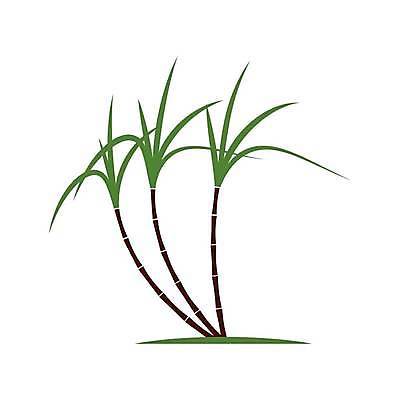 EPS 해외이미지 나무 식물 배너 음식 스티커 잎 일러스트 재료 자연 지팡이 추상 손바닥 초록색 세트 라벨 주스 수확 신선 달콤 상품 심볼 사인 내추럴 바이오 사탕수수 해외일러스트 손 음료 컬러 무늬 농업 프레임 맛 생태계 파일형식 벡터 이미지허브