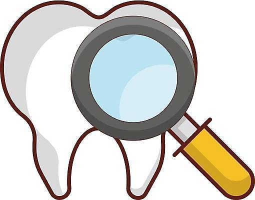 EPS 해외이미지 일러스트 의학 돋보기 치과 사람없음 치아 해외일러스트 병원 소화기관 파일형식 벡터 이미지허브